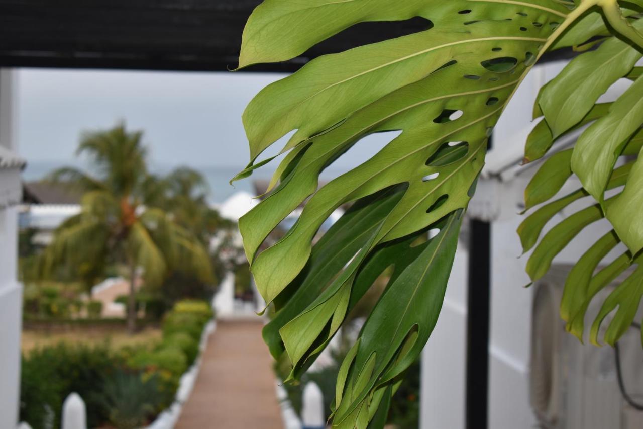 Kendwa Beach Resort Zewnętrze zdjęcie