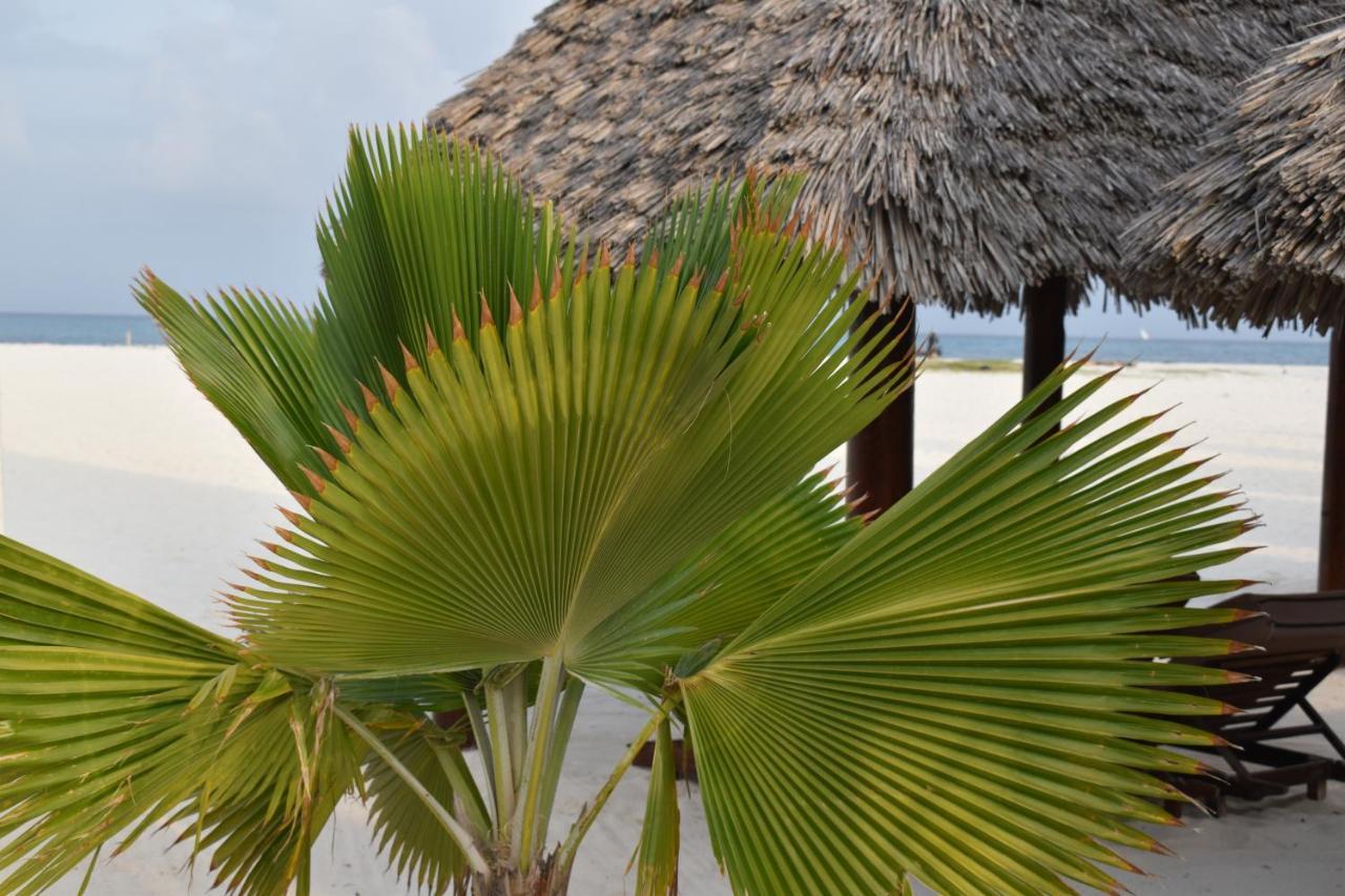 Kendwa Beach Resort Zewnętrze zdjęcie