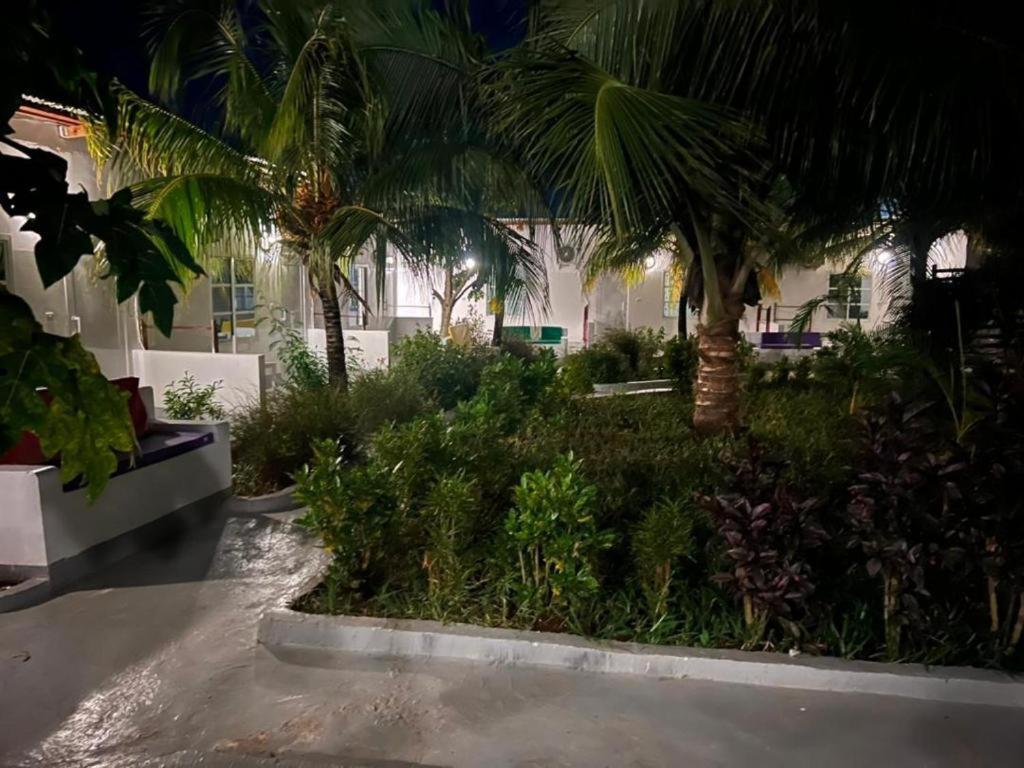 Kendwa Beach Resort Zewnętrze zdjęcie