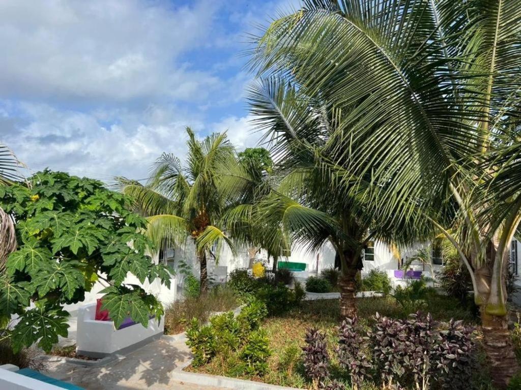 Kendwa Beach Resort Zewnętrze zdjęcie